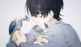 动漫壁纸男,捕捉时光中的少年风采