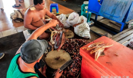 吃瓜爆料缅甸是真的吗视频,真相还是谣言？