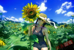 3d肉动漫,探索3D肉动漫的独特魅力